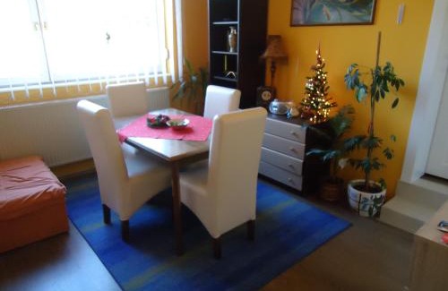 Vrnjacka Banja House | Apartments Villa Svetlana