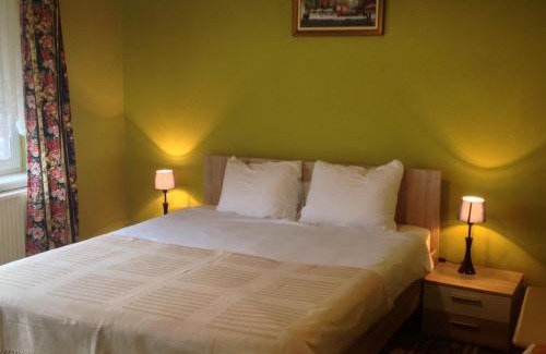 Vrnjacka Banja House | Apartments Villa Svetlana