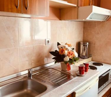 Zlatibor Apartment | Apartments Vukomanović