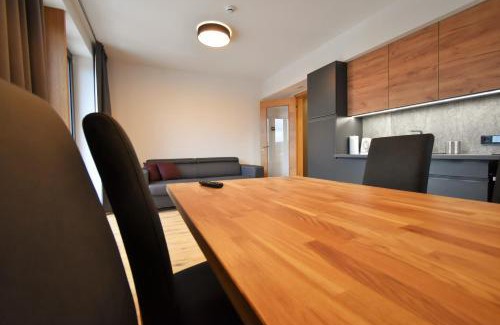 Spindleruv Mlyn Apartment | Apartments with mountain views