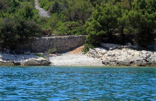 Zman Apartment | Apartments with parking space Zman, Dugi otok - 449