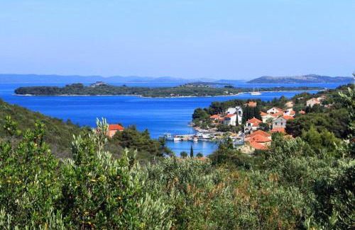 Zman Apartment | Apartments with parking space Zman, Dugi otok - 449