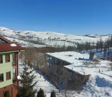 Zlatibor Apartment | Apartments Zlatiborski Gajevi