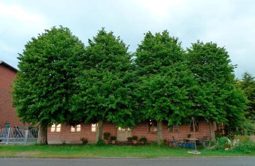 Fehmarn Apartment | Apfelhof Fehmarn