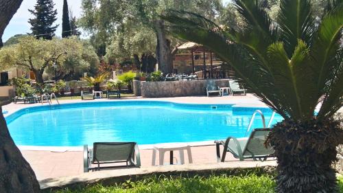Paleokastritsa Apartment | Aphrodite Studios & Pool