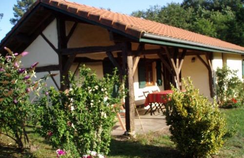Herm House | Apiculteur