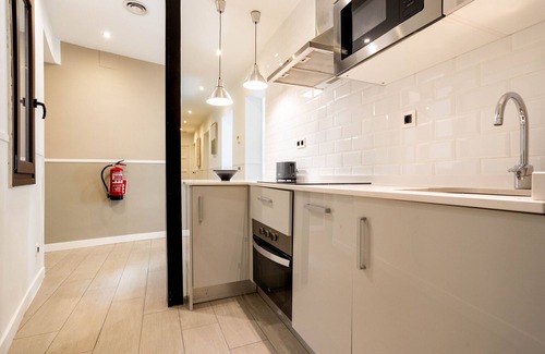 Embajadores Apartment | Apolo II apartment in Madrid