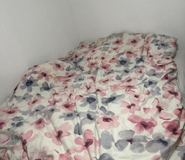 Noves Apartment | Apparemment t3