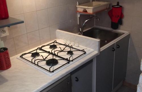 Saint-Sorlin-d'Arves Apartment | Appart cosy 5pers, terrasse, parking, wifi, proche télésiège - FR-1-417-129
