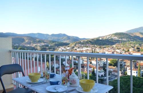 Banyuls-sur-Mer Apartment | Appart Studio cabine 4 couchages BANYULS SUR MER BN130-C117