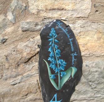 Dolcedo Apartment | Appartamenti Chiarina