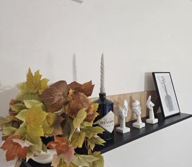 Cremona Apartment | Appartamento 2 poggioli