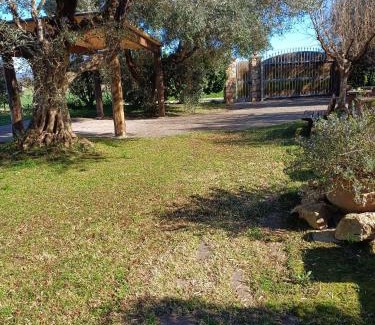 Pescia Romana Apartment | Appartamento Farfollie