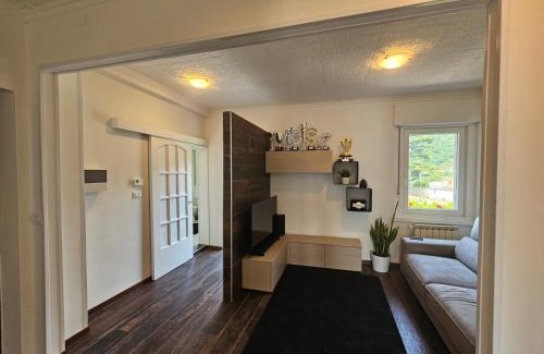 Borgo Valsugana Apartment | Appartamento Il Faggio