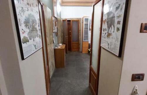 Cremona Apartment | Appartamento PALLAVICINO nel centro storico di Cremona
