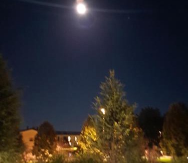 Rivoltella House | appartamento quadrifoglio