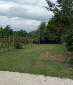 Lido di Pomposa Apartment | Appartamento Residence I Vigneti