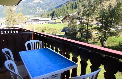 Chatel Apartment | Appartement à Châtel: 2 Pièces, 4 Pers. - Proche Télécabine et Navettes gratuites, Balcon Exposé S-E - FR-1-198-113