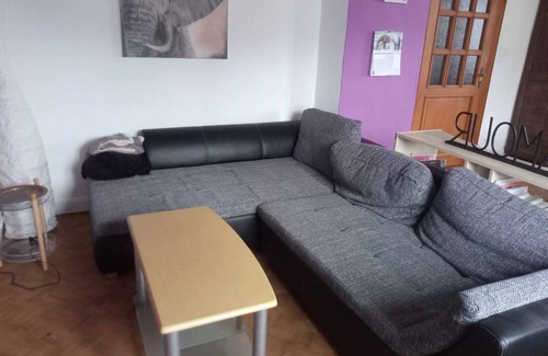 Hohrod Apartment | Appartement 100 m2 Dans Ferme Équestre en Activité Animaux de Compagnie Acceptés