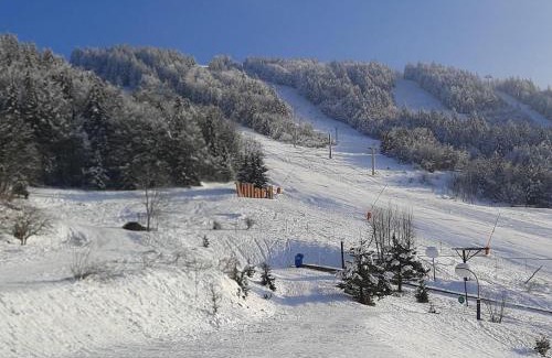 Villard-de-Lans Apartment | Appartement 43m², Balcon, Parking, Non-fumeur, Proche commodités - FR-1-515-3