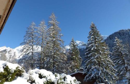 La Clusaz Apartment | Appartement chaleureux avec parking à La Clusaz - FR-1-437-68