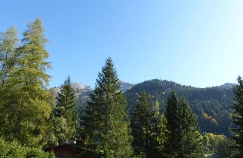 La Clusaz Apartment | Appartement chaleureux avec parking à La Clusaz - FR-1-437-68