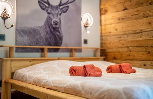 Le Petit-Bornand-les-Glieres Apartment | Appartement chaleureux, massif des Aravis