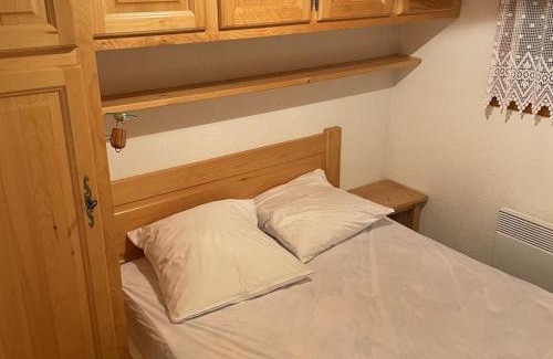 Chatel Apartment | Appartement cosy 3 pièces pour 6 pers., proche télécabine Linga, balcon, garage, animaux admis - FR-1-676-158
