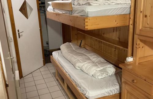 Chatel Apartment | Appartement cosy 3 pièces pour 6 pers., proche télécabine Linga, balcon, garage, animaux admis - FR-1-676-158