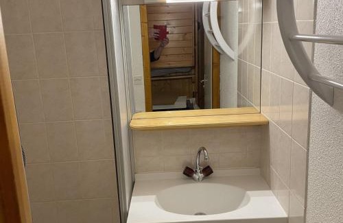 Chatel Apartment | Appartement cosy 3 pièces pour 6 pers., proche télécabine Linga, balcon, garage, animaux admis - FR-1-676-158