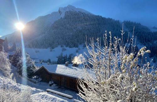La Clusaz Apartment | Appartement cosy au pied des pistes