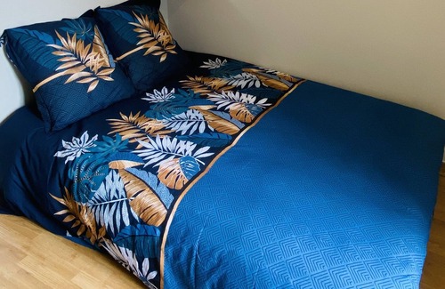 Roanne Apartment | Appartement Cosy Centre Ville