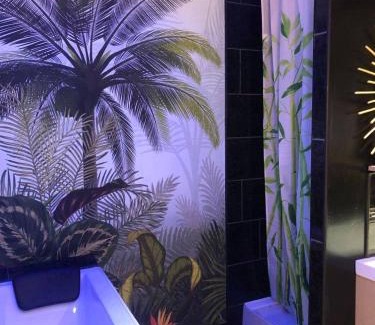Ville Haute Apartment | Appartement cosy avec baignoire balnéo