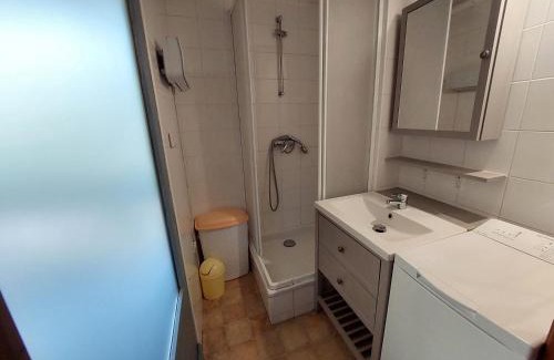 Brides-les-Bains Apartment | Appartement cosy avec WiFi, parking et animaux admis à Brides-les-Bains - FR-1-512-9