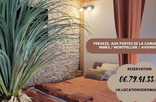 Vergeze Apartment | Appartement cosy & piscine privée - Le Strelitzia