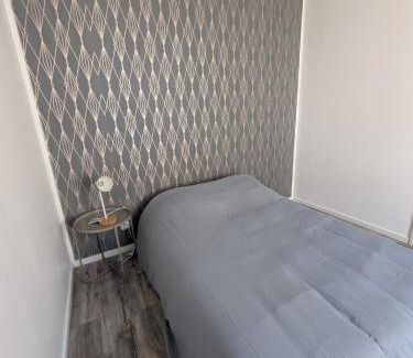 Roanne Apartment | Appartement cosy proche Gare