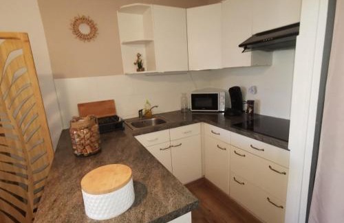 Le Barcares Apartment | Appartement Cosy sur la Presqu'île de Cap Coudalere avec terrasse, piscine, aire de jeux d'enfants, parking