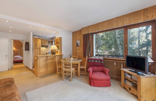Chamonix City Centre Apartment | Appartement Du Plan Praz-Brévent, Chamonix, France