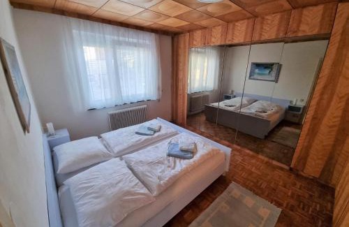 Traisen Apartment | Appartement Eigelsreiter Lindwurm