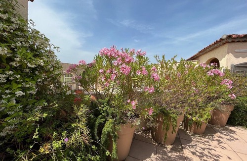 Port Cogolin Apartment | Appartement Port Cogolin Avec Terrasse 90 M2