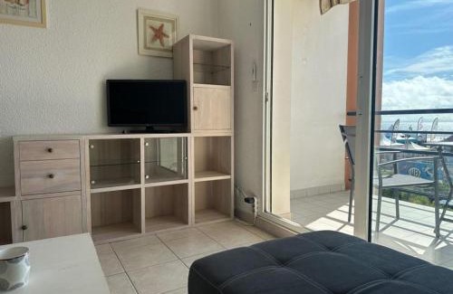 Notre-Dame-de-Monts Apartment | Appartement rénové 4 pers - Face mer - PARKING - Animaux admis - FR-1-540-294