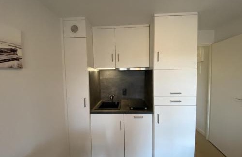 La Roche-Posay Apartment | Appartement RDC avec Terrasse, Proche Thermes du Connétable, WiFi, Animaux Acceptés - FR-1-541-29