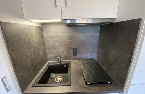 La Roche-Posay Apartment | Appartement RDC avec Terrasse, Proche Thermes du Connétable, WiFi, Animaux Acceptés - FR-1-541-29