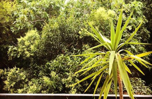 Gares Apartment | Appartement spacieux à Montpellier avec jardin, 78 m²