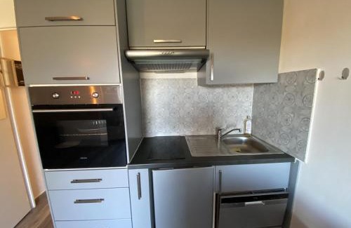 La Roche-Posay Apartment | Appartement T2 avec terrasse et Wi-Fi proche des Thermes du Connétable - FR-1-541-125
