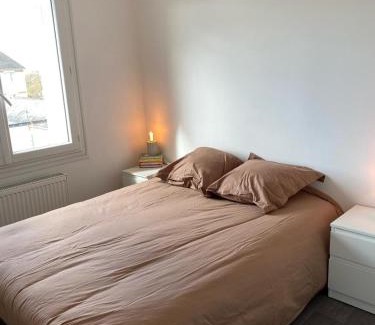 Joue-les-Tours Apartment | Appartement T3