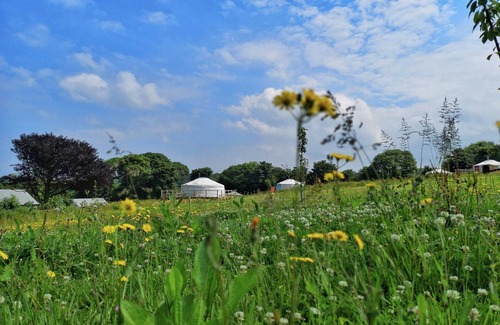 Newquay Cabin | Apple Dog - A luxury spacious dog friendly Yurt in stunning 62 acre estate near Newquay
