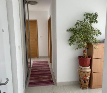 Old Town Apartment | Aprtments Belma