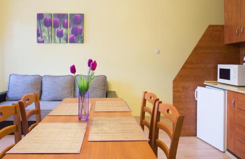 Gyula Apartment | Aqua Apartman