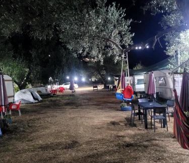 Jala Other | Aquariumi Jale Camping